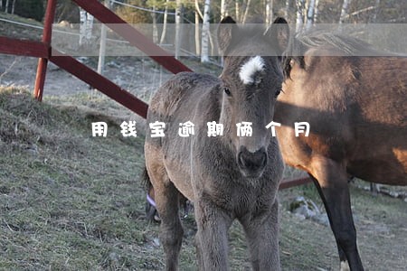 用钱宝逾期俩个月 用钱宝逾期俩个月