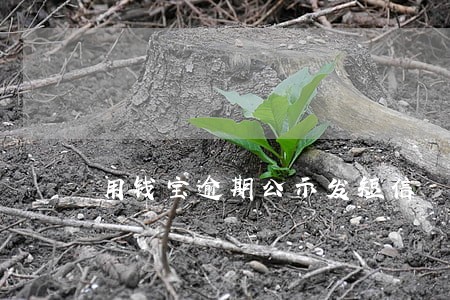 用钱宝逾期公示发短信 用钱宝逾期公示发短信