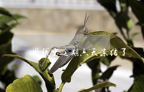 用钱宝逾期六天冻结了 用钱宝逾期六天冻结了