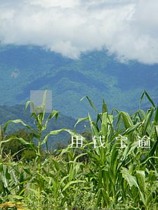 用钱宝逾期再借可以借到吗 用钱宝逾期再借可以借到吗