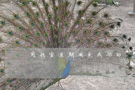 用钱宝逾期减免成功的 用钱宝逾期减免成功的