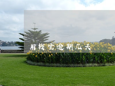 用钱宝逾期几天 用钱宝逾期几天