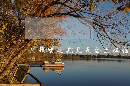 用钱宝逾期几天会上征信 用钱宝逾期几天会上征信