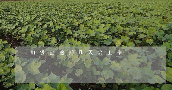 用钱宝逾期几天会上班 用钱宝逾期几天会上班