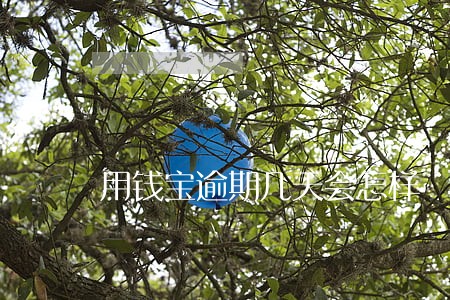 用钱宝逾期几天会怎样 用钱宝逾期几天会怎样