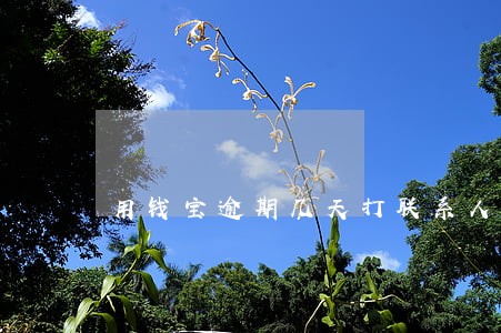 用钱宝逾期几天打联系人 用钱宝逾期几天打联系人