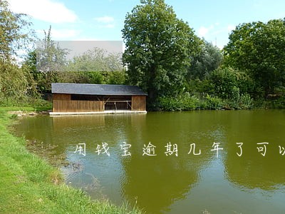 用钱宝逾期几年了可以协商 用钱宝逾期几年了可以协商