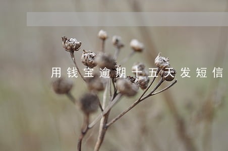 用钱宝逾期十五天发短信 用钱宝逾期十五天发短信
