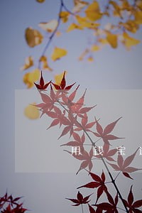 用钱宝逾期十天会不会上门催收 用钱宝逾期十天会不会上门催收