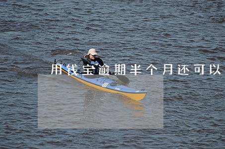 用钱宝逾期半个月还可以再借吗 用钱宝逾期半个月还可以再借吗