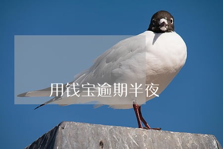 用钱宝逾期半夜 用钱宝逾期半夜