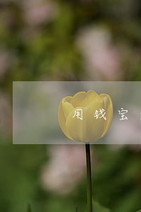 用钱宝逾期半年上征信吗 用钱宝逾期半年上征信吗