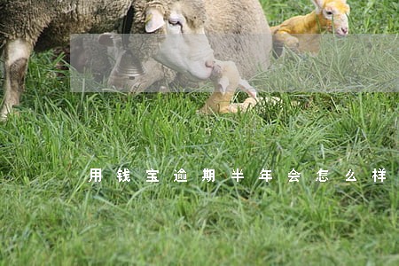 用钱宝逾期半年会怎么样 用钱宝逾期半年会怎么样