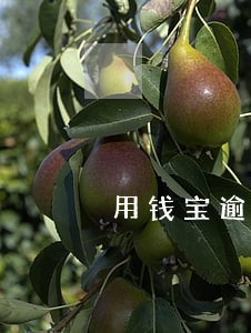 用钱宝逾期发威胁短信 用钱宝逾期发威胁短信