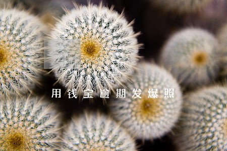用钱宝逾期发爆照 用钱宝逾期发爆照