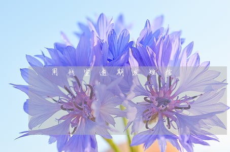 用钱宝逾期发短信 用钱宝逾期发短信
