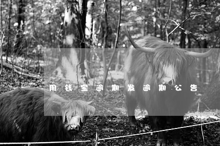 用钱宝逾期发逾期公告 用钱宝逾期发逾期公告