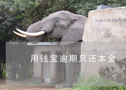 用钱宝逾期只还本金 用钱宝逾期只还本金