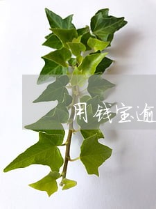 用钱宝逾期可以办理手机分期吗 用钱宝逾期可以办理手机分期吗