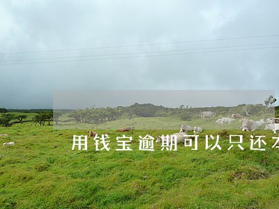 用钱宝逾期可以只还本金吗 用钱宝逾期可以只还本金吗