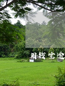 用钱宝逾期可以延期嘛 用钱宝逾期可以延期嘛