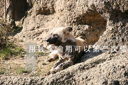 用钱宝逾期可以第二次借吗 用钱宝逾期可以第二次借吗