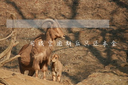 用钱宝逾期后只还本金 用钱宝逾期后只还本金
