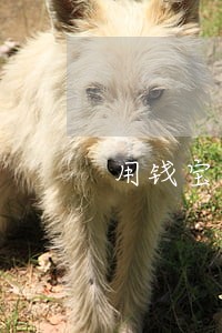用钱宝逾期后还款多久消除记录 用钱宝逾期后还款多久消除记录