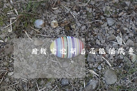 用钱宝逾期后还能继续鲁么 用钱宝逾期后还能继续鲁么