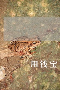 用钱宝逾期四天没事吧 用钱宝逾期四天没事吧