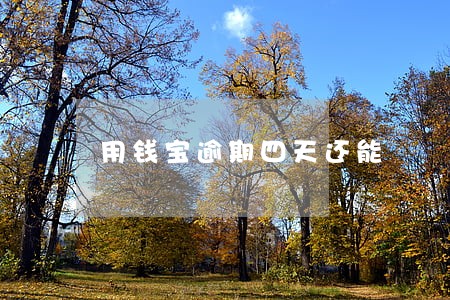 用钱宝逾期四天还能 用钱宝逾期四天还能