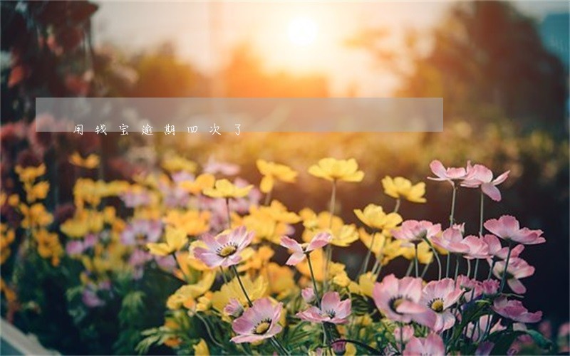 用钱宝逾期四次了 用钱宝逾期四次了