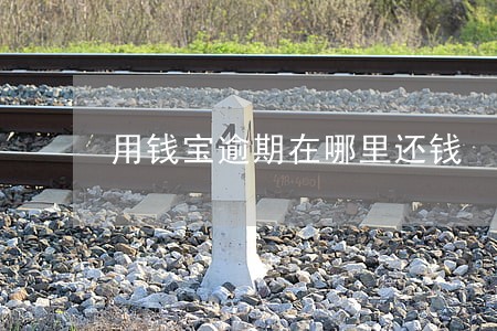 用钱宝逾期在哪里还钱 用钱宝逾期在哪里还钱