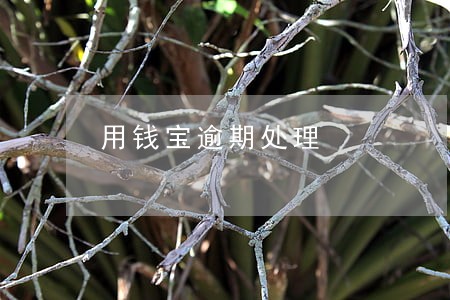 用钱宝逾期处理 用钱宝逾期处理