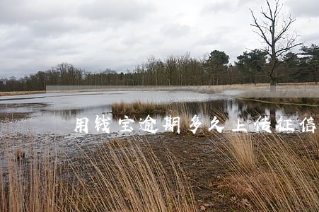 用钱宝逾期多久上传征信 用钱宝逾期多久上传征信