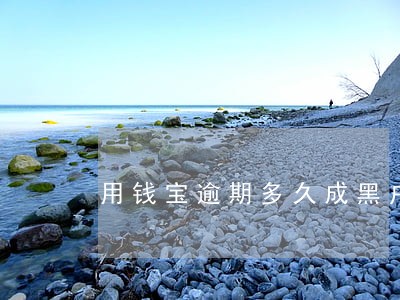 用钱宝逾期多久成黑户 用钱宝逾期多久成黑户