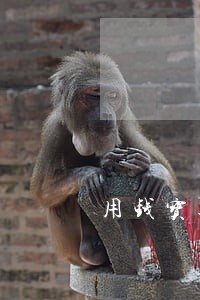 用钱宝逾期多久消失 用钱宝逾期多久消失