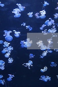 用钱宝逾期多少天上征信 用钱宝逾期多少天上征信