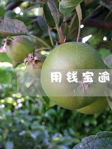 用钱宝逾期多少天打通讯录 用钱宝逾期多少天打通讯录