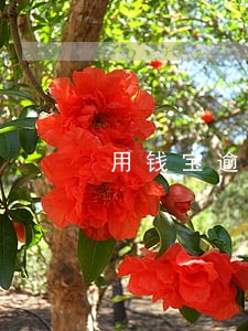 用钱宝逾期多少天黑户 用钱宝逾期多少天黑户