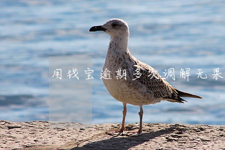 用钱宝逾期多次调解无果 用钱宝逾期多次调解无果