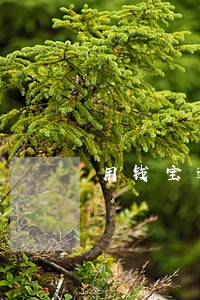 用钱宝逾期多长时间涨利息 用钱宝逾期多长时间涨利息