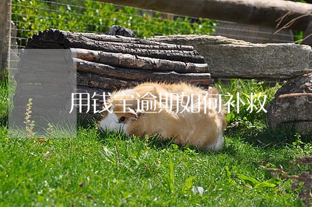 用钱宝逾期如何补救 用钱宝逾期如何补救