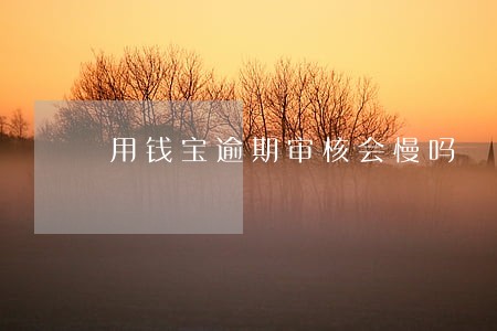 用钱宝逾期审核会慢吗 用钱宝逾期审核会慢吗