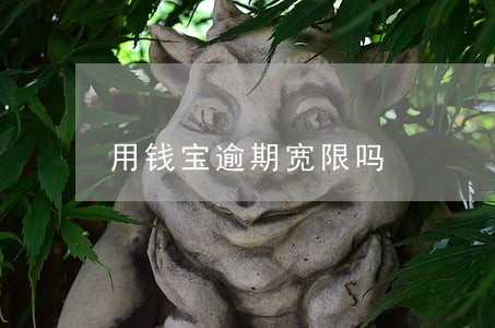 用钱宝逾期宽限吗 用钱宝逾期宽限吗