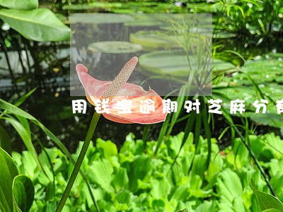 用钱宝逾期对芝麻分有影响吗 用钱宝逾期对芝麻分有影响吗