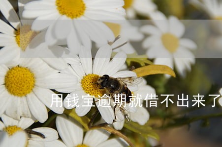 用钱宝逾期就借不出来了