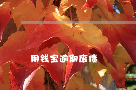 用钱宝逾期废债 用钱宝逾期废债