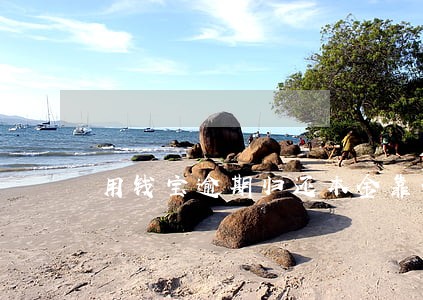 用钱宝逾期归还本金靠谱吗