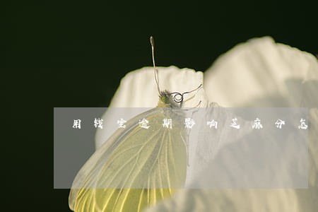 用钱宝逾期影响芝麻分怎么办 用钱宝逾期影响芝麻分怎么办